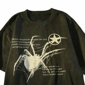 Y2K Korean Style Grunge Spiderweb Sensation Tee