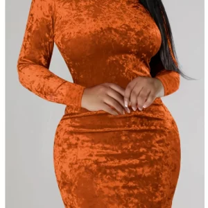 Chic Zipper Bodycon Dress, Stylish Long Sleeve Women's Dress for Spring & Fall