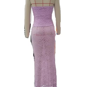 Floral Lace Sheer Tube Dress for Women | Sexy Party Club Gown | Backless Strapless Long Vestidos