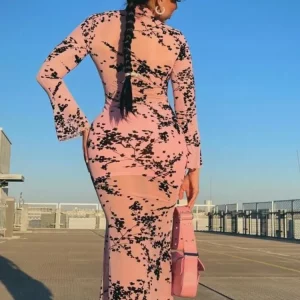 Mesh Cutout Maxi Dress: Sexy See-Through Long Sleeve Robe