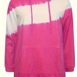 Plus Size Women's Colorblock Hooded Sweatshirt