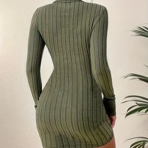 Turtleneck Bodycon Dress for Women