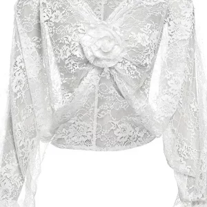 Y2K Lace Applique Deep V-Neck Long Sleeve Crop Top - White